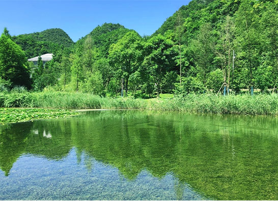 贵州 • 花溪湿地