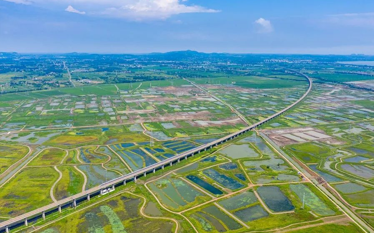 环巢湖十大湿地——点亮合肥“最好名片”