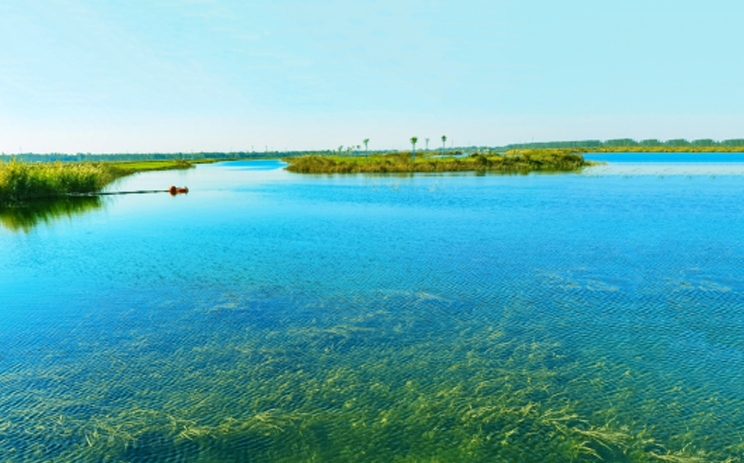 上海水生参建的雄安新区府河河口湿地受邀亮相国家“十三五”科技创新成就展