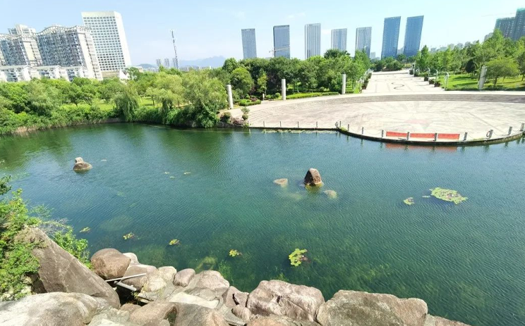 美翻了！宁波宁海这两处“水下森林”！