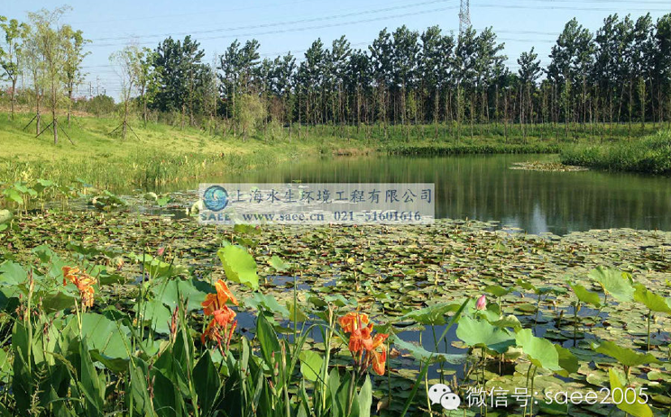 多家媒体报道我司斑鸠堰生态河道治理项目