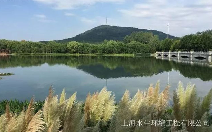 【业主报道】合肥市大蜀山森林公园南湖水环境综合治理工程荣获住建部”2017年中国人居环境范例奖“！