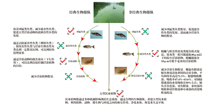 生物操纵技术