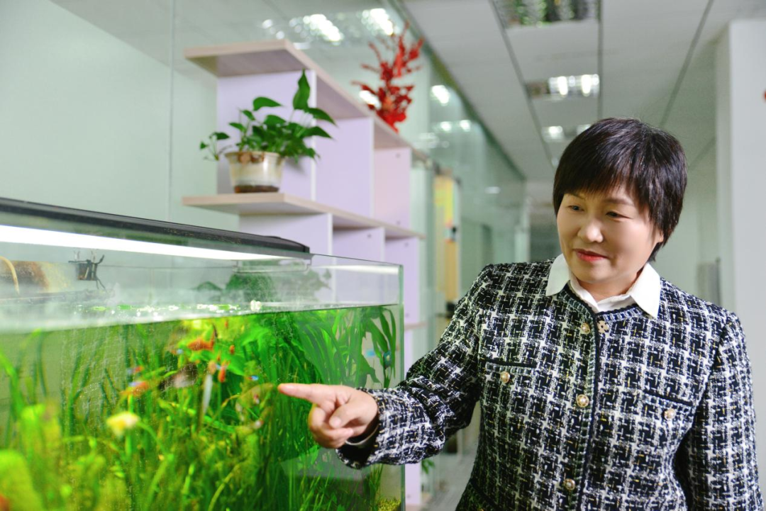 上海水生科技成立二十周年: 从教授到企业家:王丽卿的“双创之路”见证政策赋能与产教融合