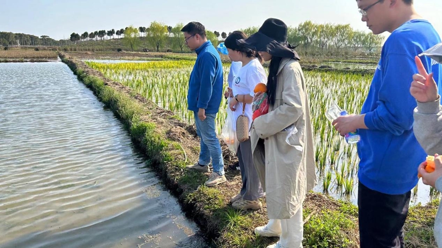 “拥抱春天，播种绿色希望” 上海水生植树节主题活动 一起为春天充植(图11)