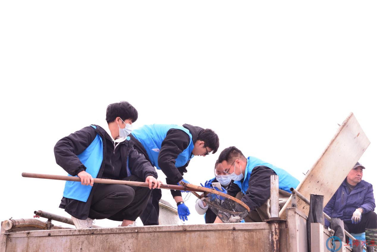 临港滴水湖轮捕轮放、增殖放流专项活动圆满启动 滴水汇聚保生态 渔兴人和护未来(图9)