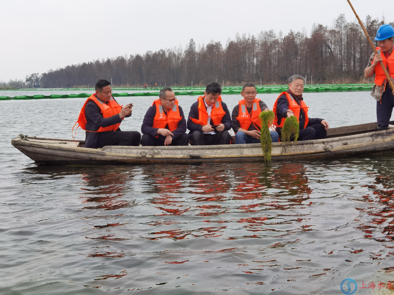 国家林草局等领导一行莅临我司洪湖沉水植物种子库保护建设项目调研考察(图2)